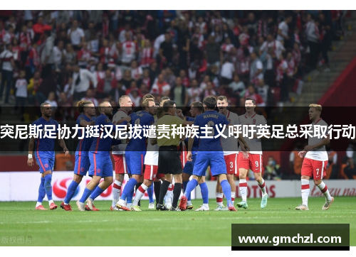 突尼斯足协力挺汉尼拔谴责种族主义呼吁英足总采取行动